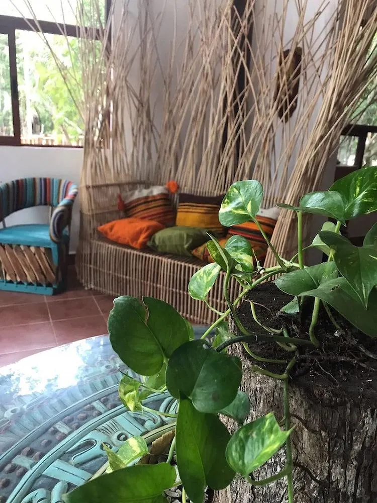 Ecovergel Riviera Maya Hotel Boutique Chemuyil