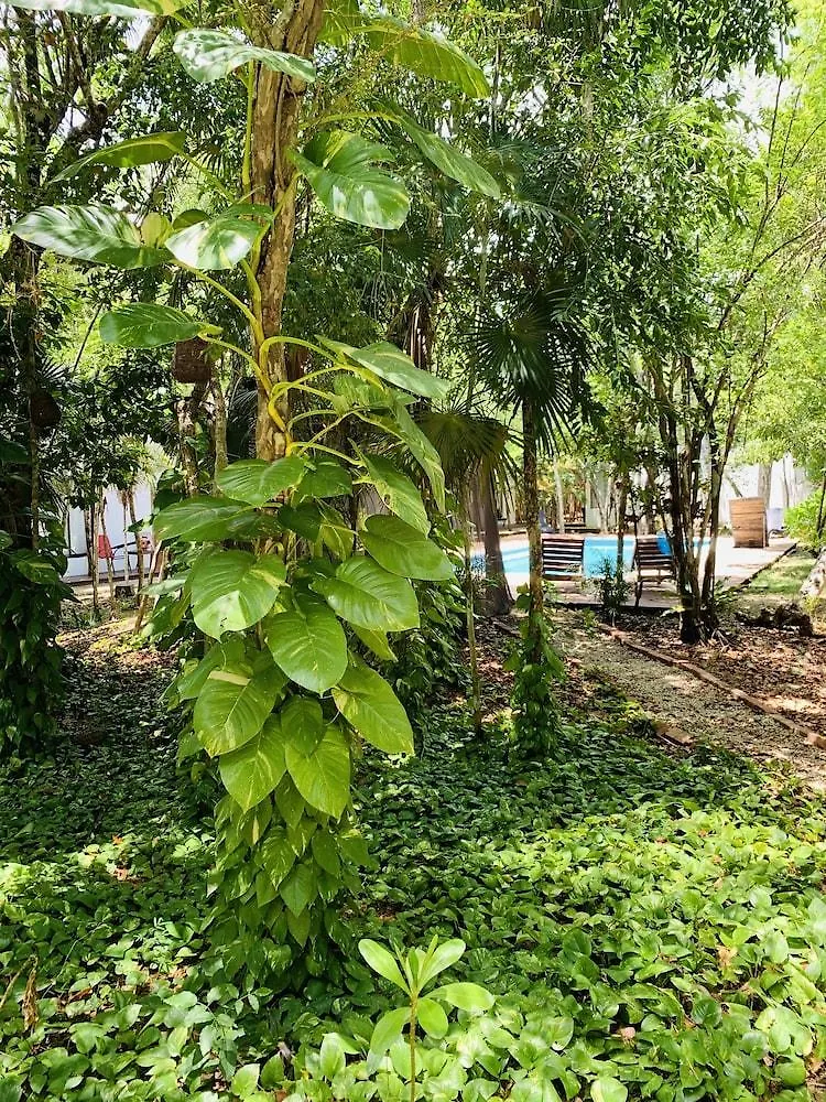 Ecovergel Riviera Maya Hotel Boutique Chemuyil